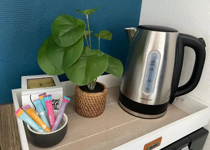 La Belle Etoile - Au Coeur Du Centre Historique 公寓 科尔马