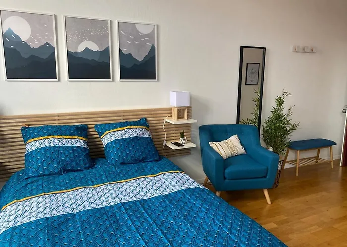 La Belle Etoile - Au Coeur Du Centre Historique 公寓 科尔马