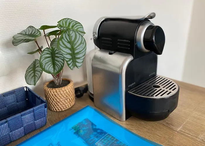 La Belle Etoile - Au Coeur Du Centre Historique 公寓 科尔马